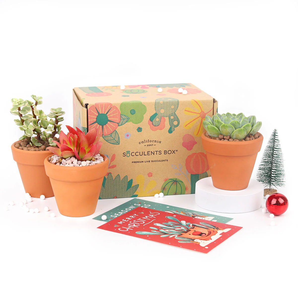 Thumbnail 20