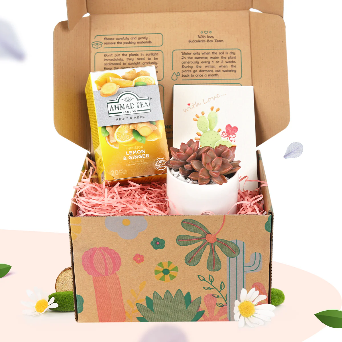 Thumbnail 17